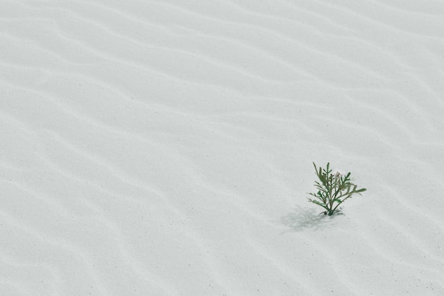Transform Your Life with These 8 Simple Steps to Personal Development
