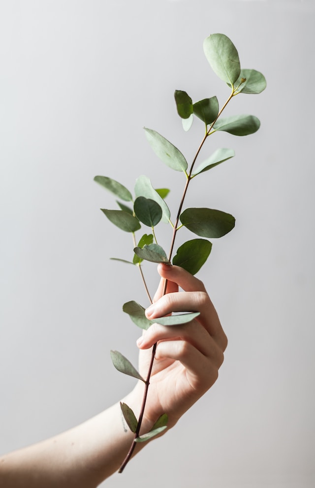 Embarking on a Transformative Yoga Journey: A Beginner’s Guide to Holistic Well-being