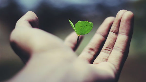 The Transformative Power of Learning: A Lifelong Journey of Personal Growth and Exploration